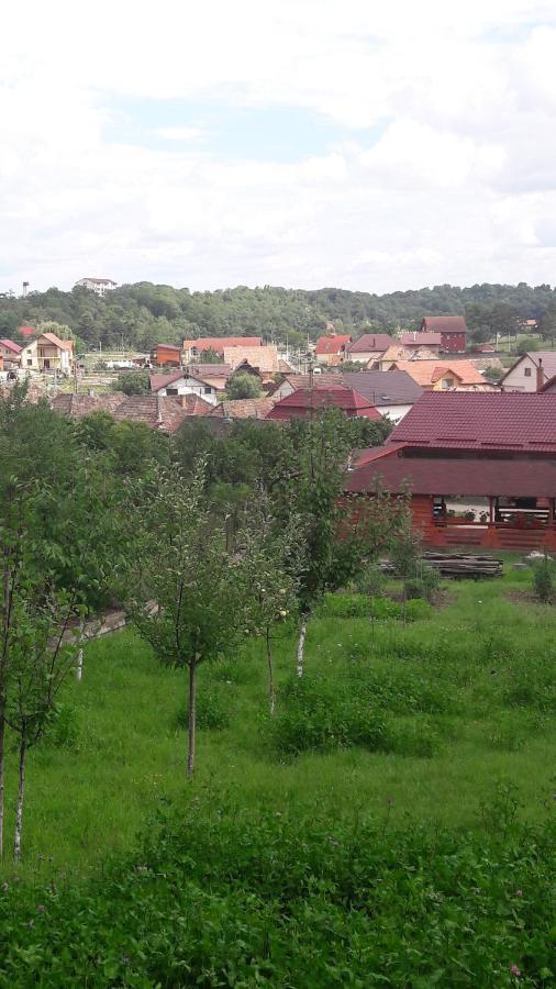 Casa Anamaria * Turda
